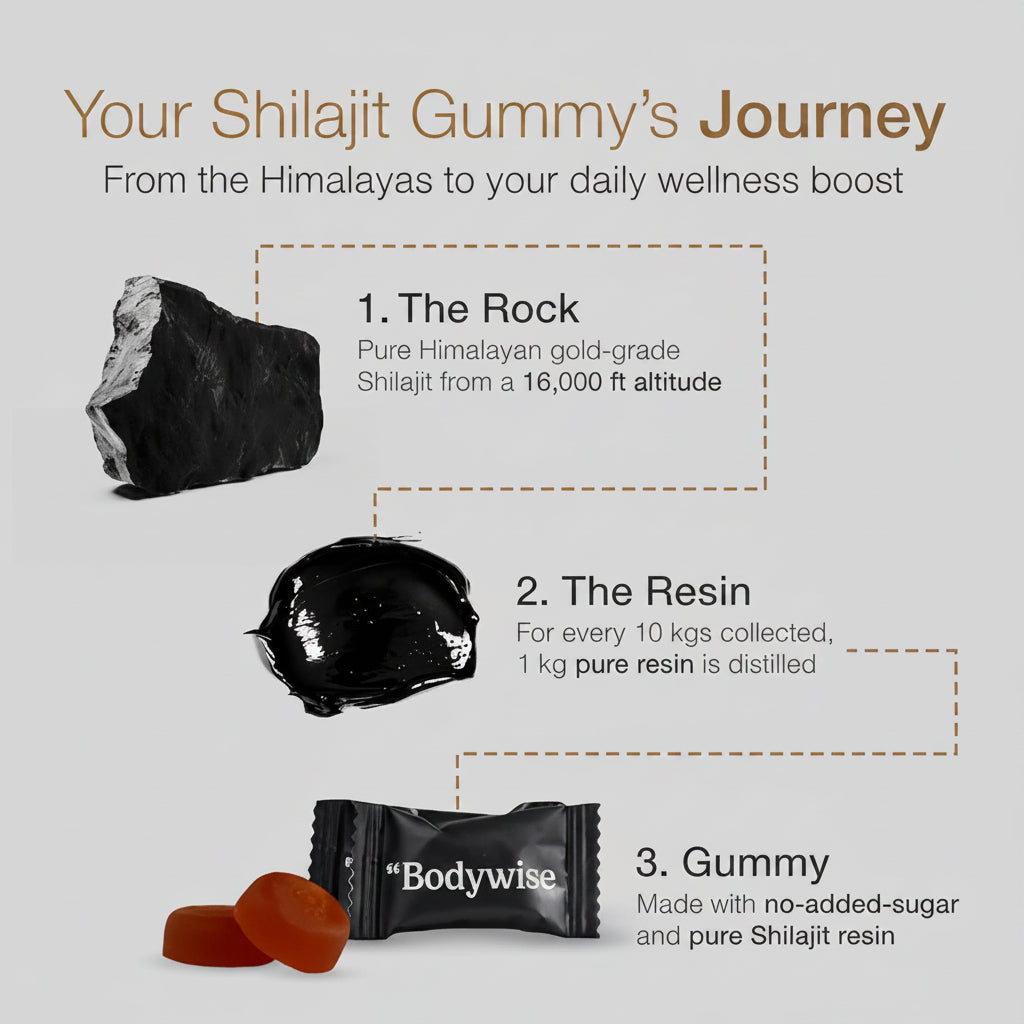 GOMITAS DE SHILAJIT